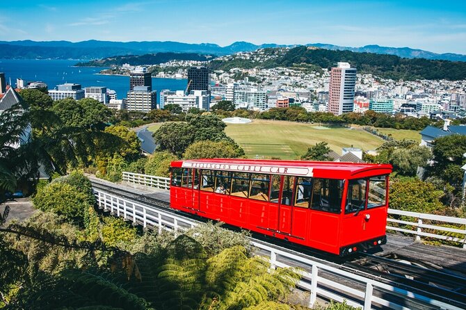 1/2 Day Guided Wellington Tour incl. Cable Car (Vans not buses) - Key Points to Know Before You Go