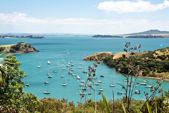 1.5h Waiheke Guided Scenic Tour in our Electric Van - Electric van comfort, eco-conscious choices, and why it helps on Waiheke