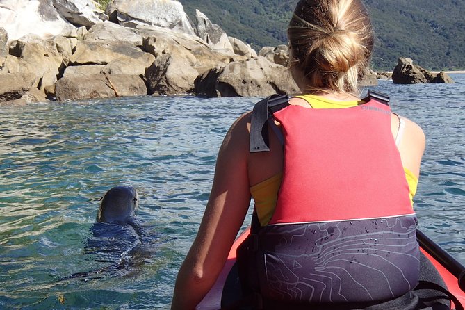 1 Day Sea Kayak Rental - What You’re Getting With R&R Kayaks (and What You Should Prepare)