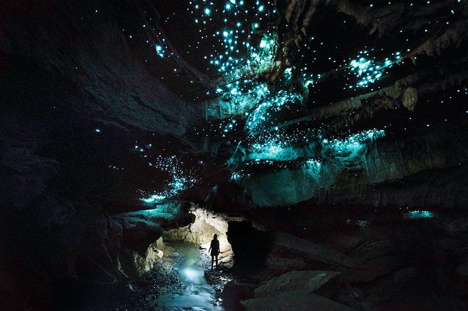 1-Hour Guided Tour of Aranui Cave Waitomo - Māori Legends and Cultural Meaning: What You Should Expect to Hear