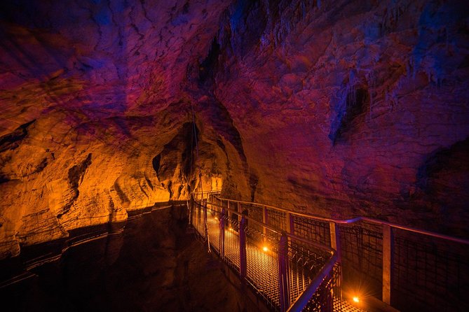 1-Hour Guided Tour of Aranui Cave Waitomo - What Makes This Tour Better Than DIY Cave Sightseeing