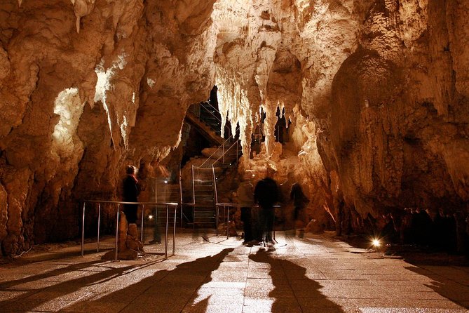 1-Hour Guided Tour of Aranui Cave Waitomo - Price and Value: Is $50.27 Worth It?