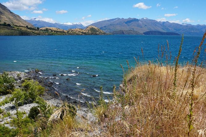 1-Hour Ruby Island Cruise and Walk - Who this cruise is best for in Wanaka