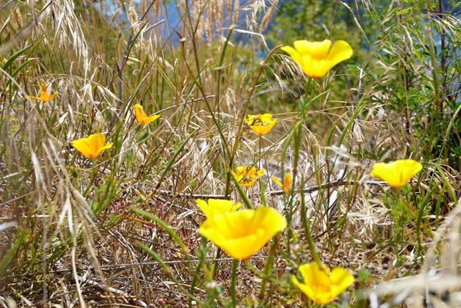 1-Hour Ruby Island Cruise and Walk - Small group energy, friendly crew, and the human side