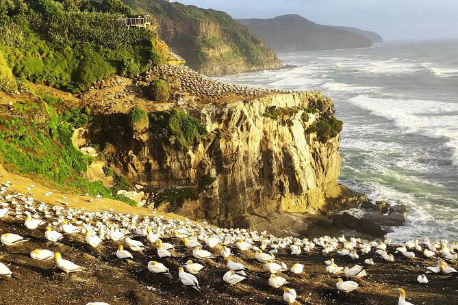 12 Day New Zealand Private Tour from Auckland to Queenstown - Key things that make this tour work
