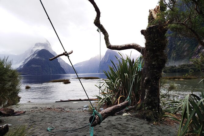 12 Day New Zealand Private Tour from Auckland to Queenstown - How private transport changes a New Zealand road trip