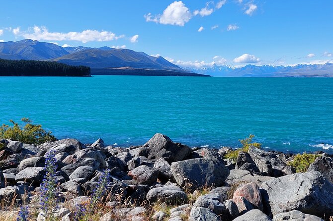12 Day New Zealand Private Tour from Auckland to Queenstown - TranzAlpine across Arthur’s Pass to Tekapo, plus stargazing