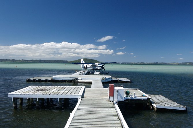 15-Minute Crater Lakes Flight by Floatplane from Rotorua - Choosing your departure time: morning, midday, or early afternoon