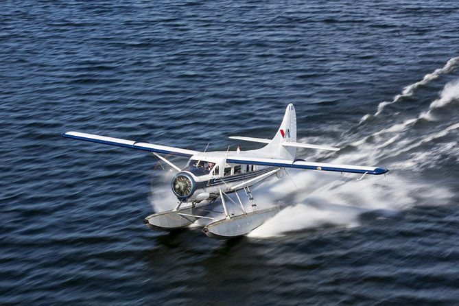 15-Minute Crater Lakes Flight by Floatplane from Rotorua - Starting at Rotorua City Lakefront, and what to plan for