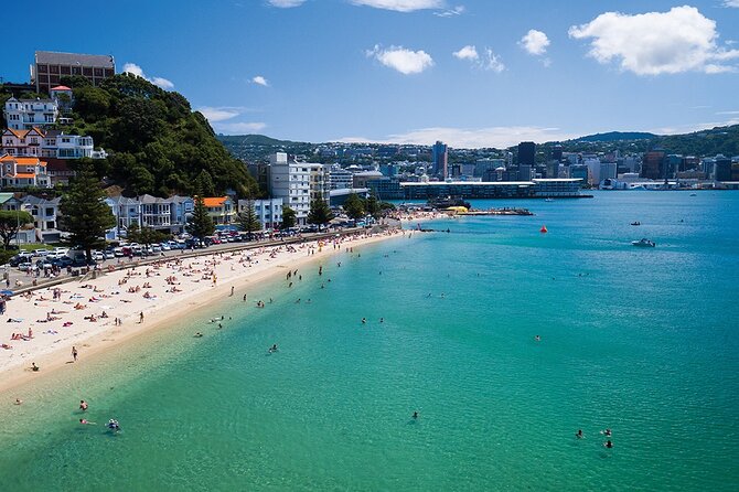 15-Minute Wellington Harbour Helicopter Flight - Queens Wharf Departure: The Practical Setup