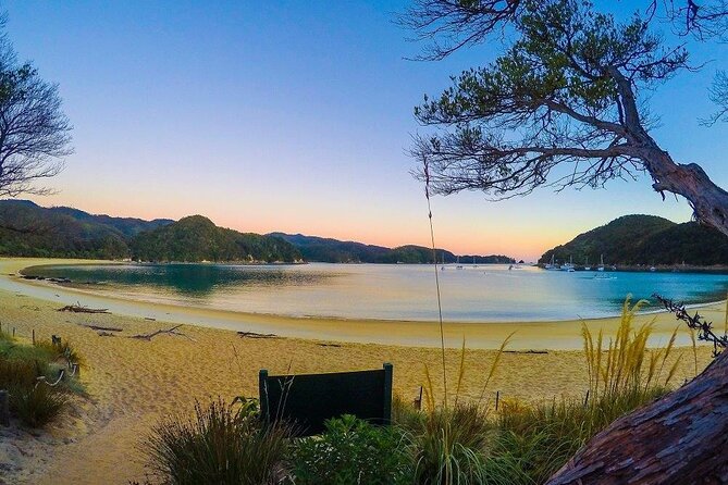 2 Day Freedom Kayak - Kayak Rental - New Zealand - Wildlife spotting: seals, birds, and the clear-water surprises