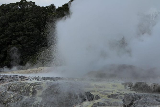 2-Day Hobbiton, Rotorua, Waitomo Caves Tour from Auckland with Accommodation - Mitai Maori Village: hangi-style dinner and a performance you can follow