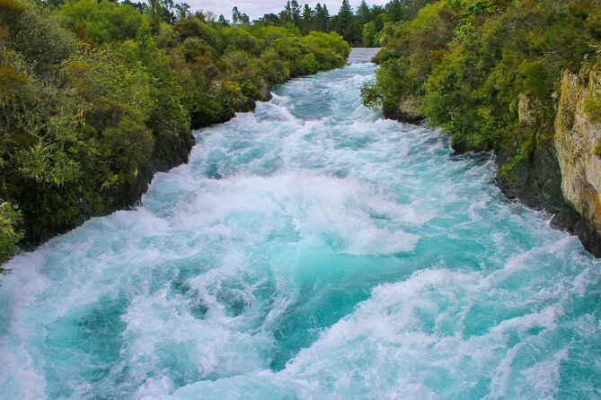 2 Day Tour Auckland to Hobbiton, Waitomo, Rotorua and Taupo - Hobbiton Movie Set: green buses, lunch window, and guided time