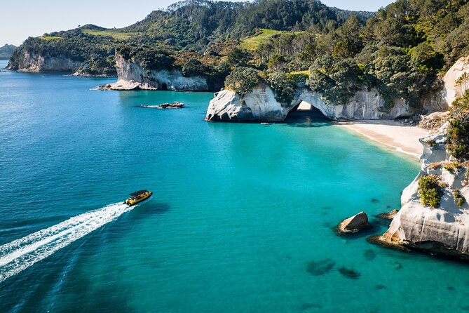 2 Hour Cathedral Cove and Volcanic Coast Cruise with Shade Canopy - Key points at a glance
