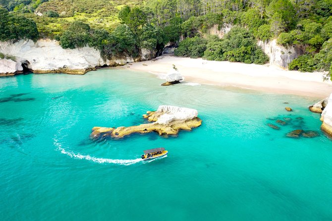 2 Hour Cathedral Cove and Volcanic Coast Cruise with Shade Canopy - Cathedral Cove Marine Reserve: caves, arches, and the iconic look