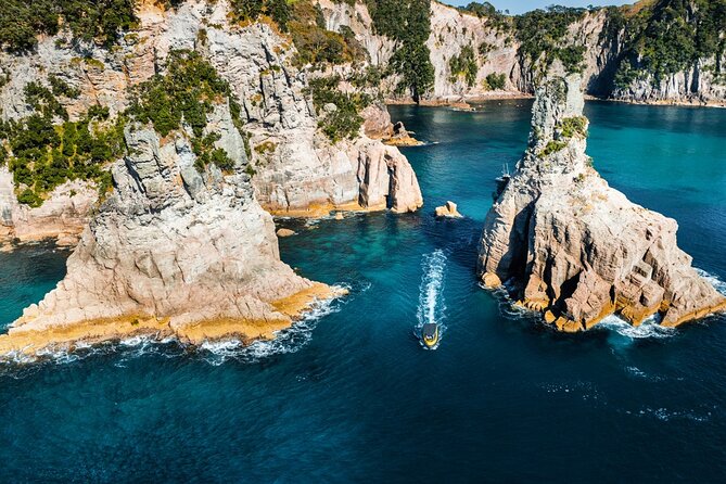 2 Hour Cathedral Cove and Volcanic Coast Cruise with Shade Canopy - Guides, style, and why the boat setup matters