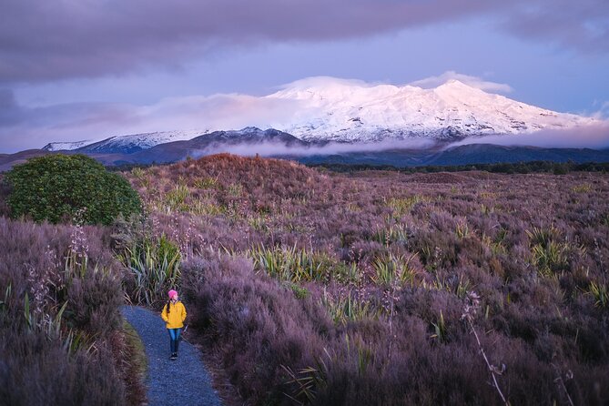 2 Hour Pre Sunset Guided Group Walk - Golden hour views: Mt Ngauruhoe and Mt Tongariro in the distance