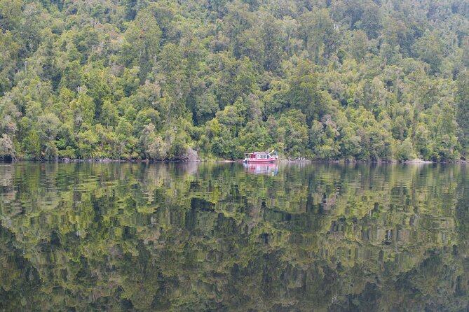 2-Hour Scenic Cruise in Lake Mapourika - What the Kiwi Conservation Area Adds to the Cruise