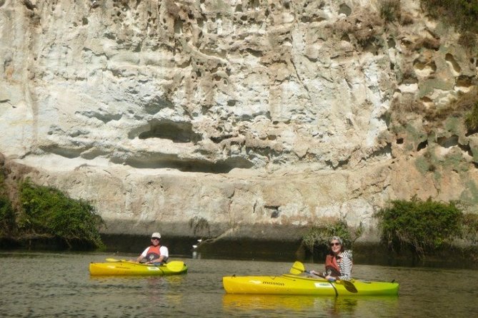 2-Hour Waikato River Guided Kayak Trip from Taupo - Price and Value: Is $55.85 Worth It?