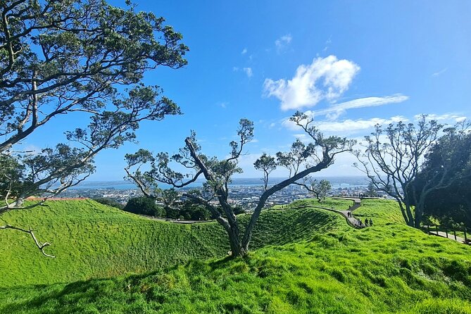 2025 Award Winning: Auckland City Highlights Half Day Tour - Timing and how to plan the rest of your day around it