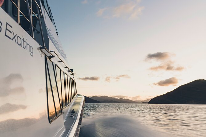 3.5 Hour Marlborough Sounds Delivery Cruise - Comfort on deck: wind, chill, and how to dress smart