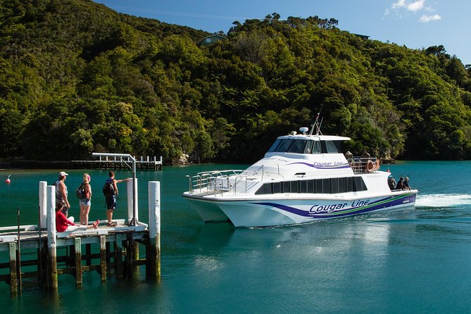3.5 Hour Marlborough Sounds Delivery Cruise - Price and value: is $68.26 per person worth it?