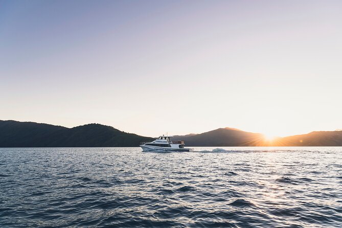 3.5 Hour Marlborough Sounds Delivery Cruise - Who should book this cruise, and who should skip it