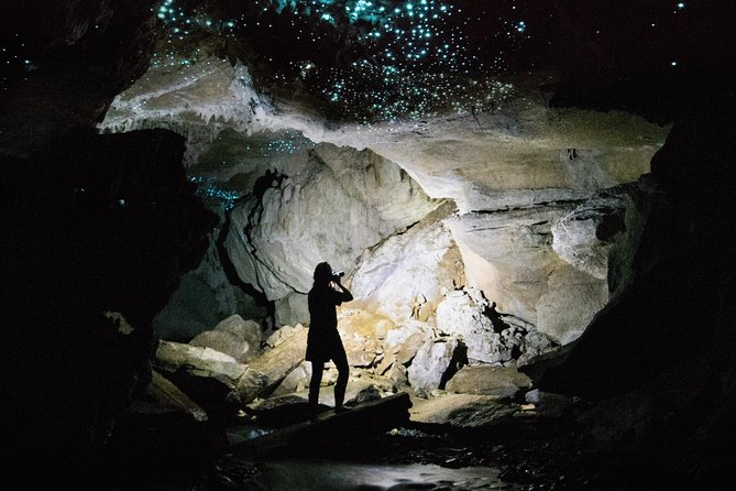 3-Hour Private Photography Tour in Waitomo Caves - Key Points Worth Knowing