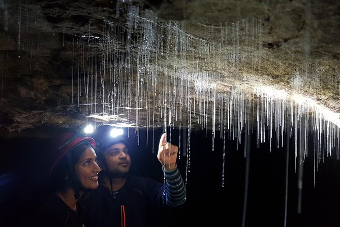 3-Hour Private Photography Tour in Waitomo Caves - Why This Waitomo Photo Tour Feels Different From Regular Glow Worm Trips