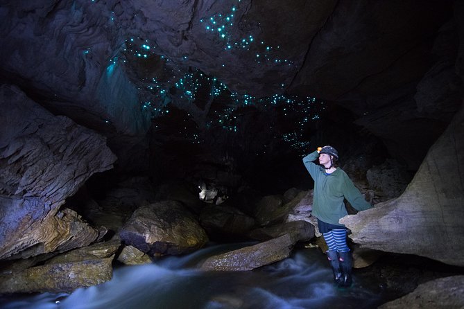 3-Hour Private Photography Tour in Waitomo Caves - Stop Inside the Glow Worm Cave, With Time to Shoot the Best Angles