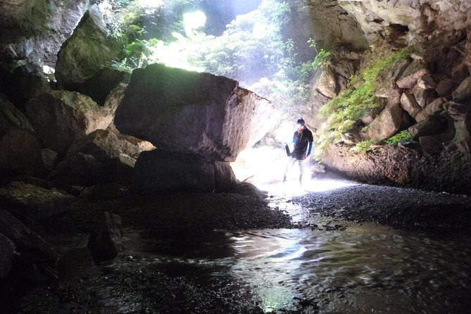 3-Hour Private Photography Tour in Waitomo Caves - What the Caving Gear Means for Your Comfort (and Your Camera)