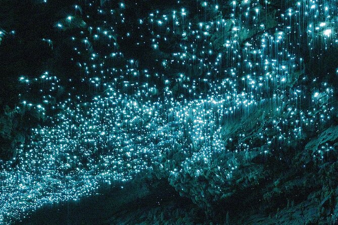 3-Hour Private Photography Tour in Waitomo Caves - Price and Value for a Private Group of Up to 4