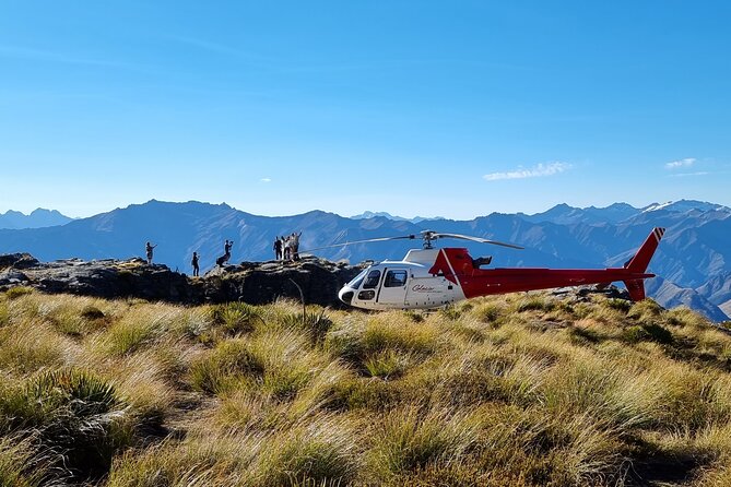 30-Minute Alpine Scenic Flight from Queenstown - Wakatipu Basin from above, where Queenstown finally makes sense