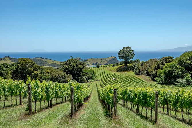 4.5-Hour Scenic Wine Tour with Private Guide & Up to 12 Tastings - Mudbrick vineyard tasting: what you’re really paying for