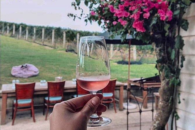 4.5-Hour Scenic Wine Tour with Private Guide & Up to 12 Tastings - Where you start, how pickup works, and why that matters