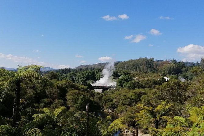 4-Day Auckland to Wellington via Rotorua Tour - A fast, high-impact North Island route