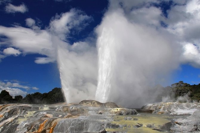 4-Day Auckland to Wellington via Rotorua Tour - Rotorua arriving late, then two nights to get your footing