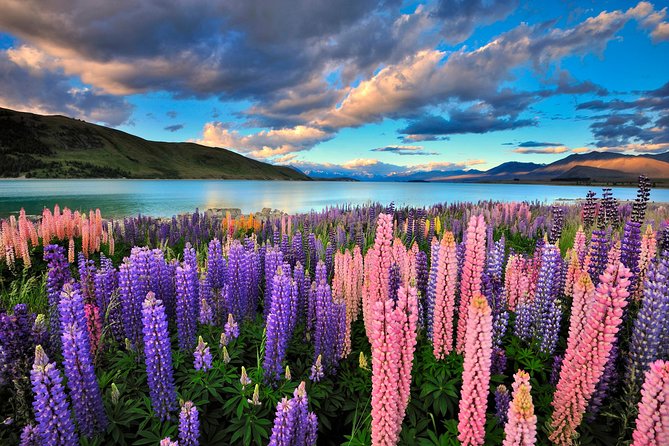 4-Day Great Southern Island Circle Tour from Christchurch - Key highlights to know before you go