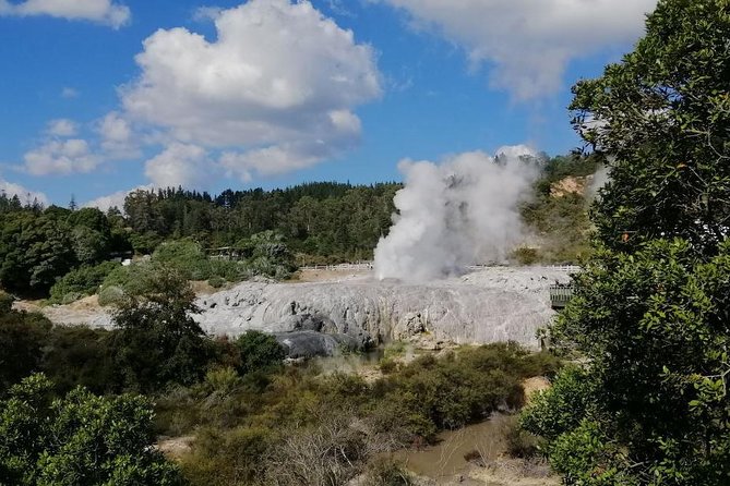 4-Day Wellington to Auckland via Rotorua Tour - How the tour runs day to day: pickups, mobile tickets, and changing coaches