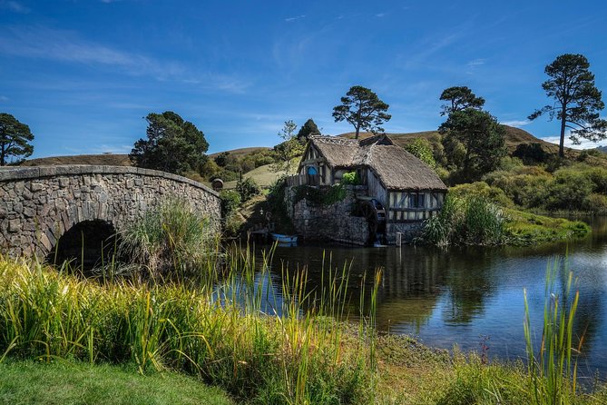 4-Day Wellington to Auckland via Rotorua Tour - What you should do with your free time, not just your scheduled stops