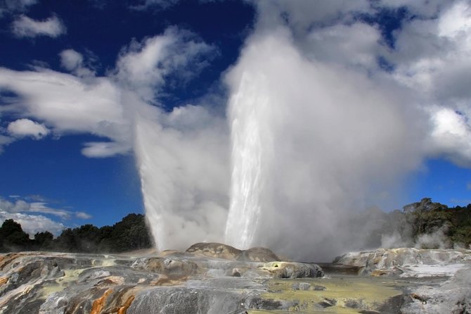 4-Day Wellington to Auckland via Rotorua Tour - Rotorua at Whakarewarewa: geothermal reserve plus Maori performance