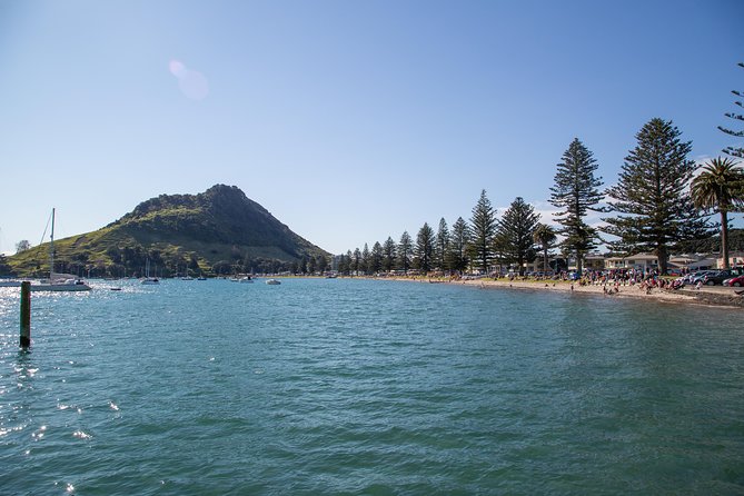 4hr Tauranga Scenic History and Tasting Tour FREE Kiwifruit Tasting - Quick hits