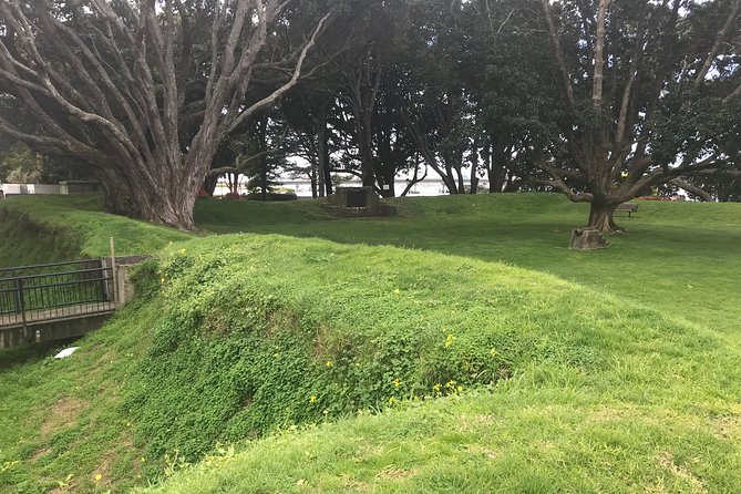 4hr Tauranga Scenic History and Tasting Tour FREE Kiwifruit Tasting - Stop 3 Minden Lookout: viewpoints, lunch pause, and hand-picked tea