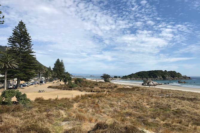 4hr Tauranga Scenic History and Tasting Tour FREE Kiwifruit Tasting - Stop 1 Mount Maunganui: from shoreline origins to city beginnings