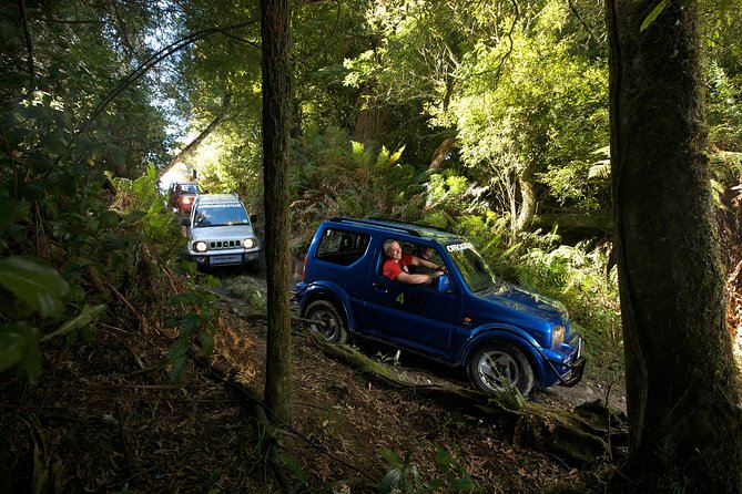 4WD Bush Safari at Off Road NZ - Rotorua Bush Safari: What It Feels Like When You Leave the Road