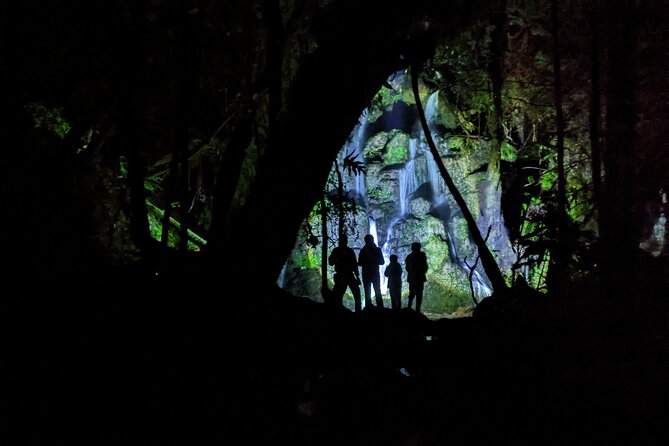 4WD Bush Safari at Off Road NZ - Should You Book This Rotorua 4WD Bush Safari?
