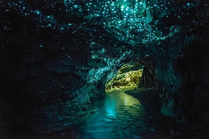 5-Day New Zealand North and South Island Highlights Tour - Key things that make this tour work