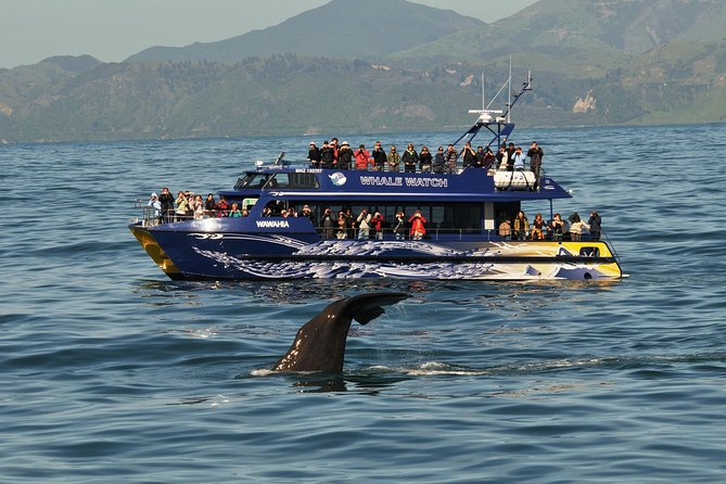 5-Day New Zealand North and South Island Highlights Tour - Price and value: what you pay for, and what you still need to budget
