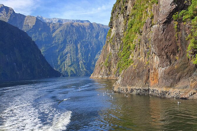 5 Day South Island New Zealand Private Tour from Queenstown - Quick, concrete reasons to pick this tour