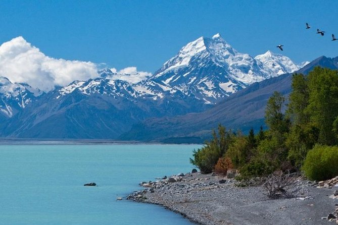 5-Day South Island Tour from Christchurch - Day 3: Queenstown Free Day, Use It Like a Local